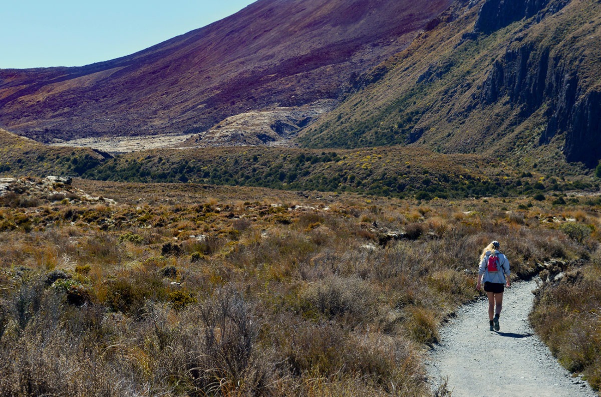 Hiking The Tongariro Alpine Crossing, New Zealand 1 Tongariro crossing walking