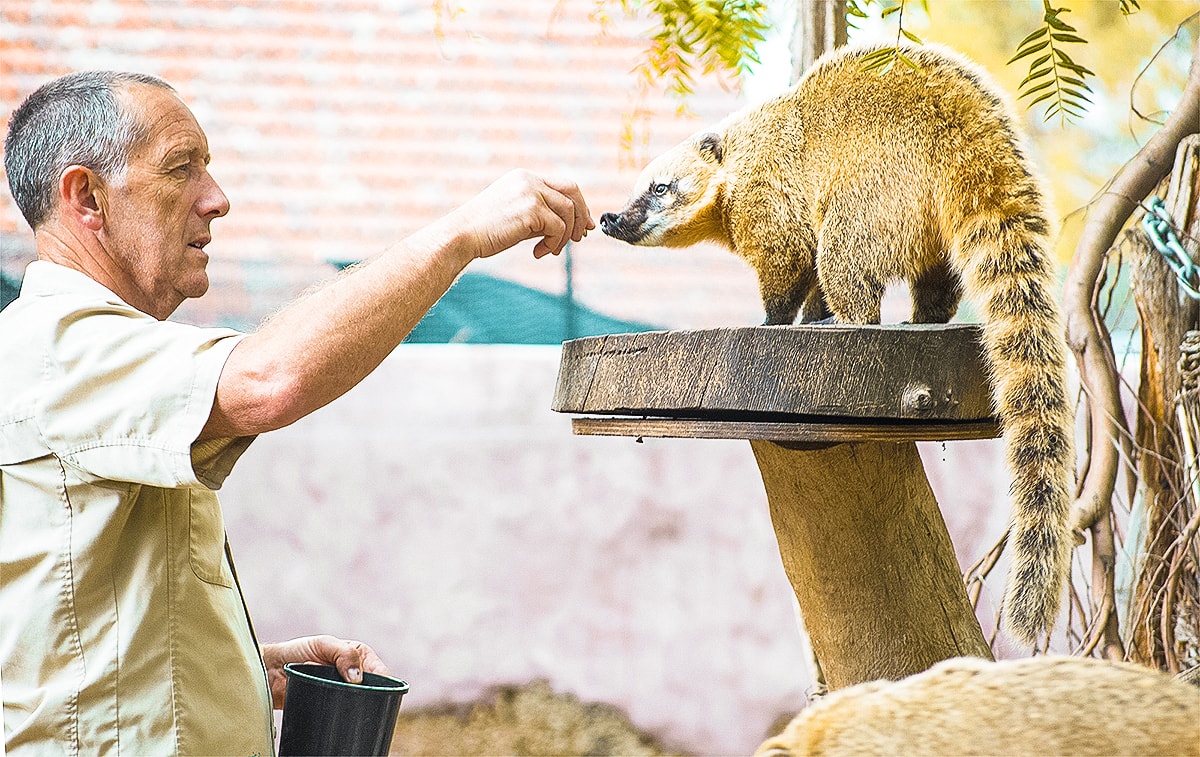A Day At Melbourne Zoo 1 A Day Exploring Melbourne Zoo | Australia's native animals| Backpacking Australia | Traveling Melbourne| What to do Melbourne | Koalas | How to get to Melbourne Zoo | Backpackers Wanderlust