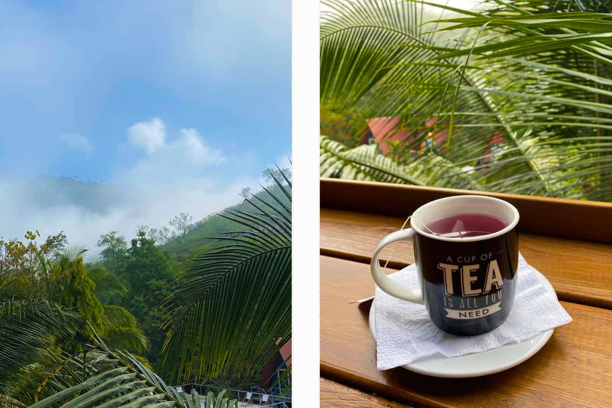 Flores To Semuc Champey: How To Make The 10 Hour Journey 34 foggy mornings at greengos hostel // having a cup of tea to try calm my upset stomach