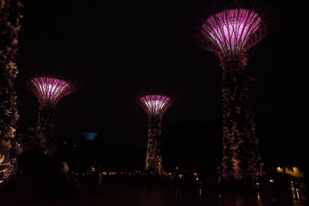 Gardens by the Bay Review: Everything You Need To Know 1 supertree lightshow gardens by the bay singapore