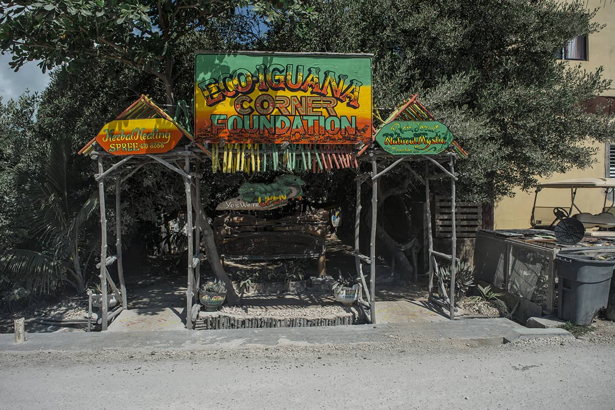 Visiting The Iguana Eco Sanctuary In San Pedro: Is It Worth It? 13 the entry way to the eco iguana sanctuary in san pedro belize