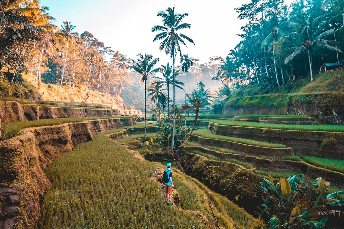 11 Countries, 2 Continents & 50+ Cities- My 2017 Travel Year In Review 13 imdonesia cheap country to visit