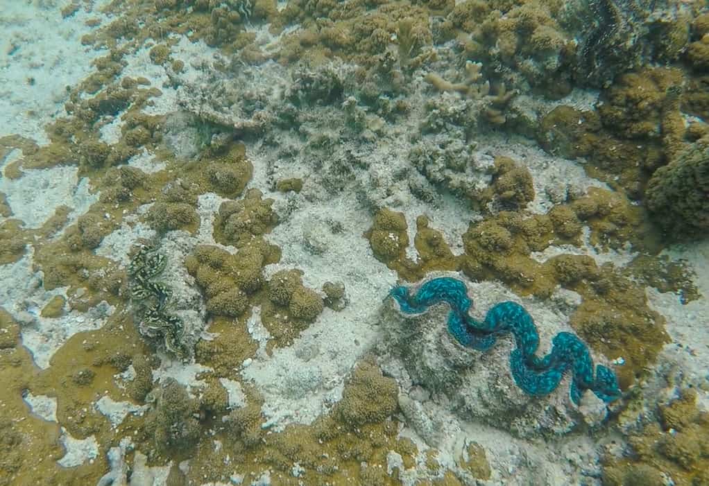 Isle Of Pines Natural Pool: Why You NEED To Visit 2025 15 a beautiful giant calm inside the natural pool at the isle of pines