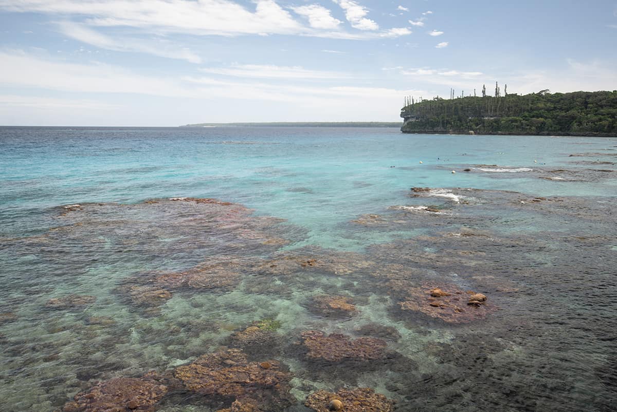 Jinek Bay Snorkeling In Lifou: BEST Snorkeling In New Caledonia? 9 incredible colors of the corals beneath the surface at jinek bay in lifou