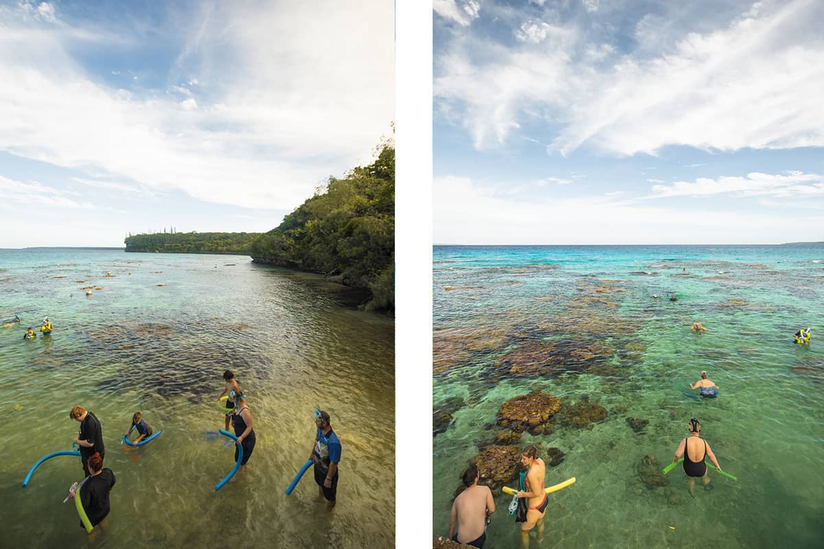 Jinek Bay Snorkeling In Lifou: BEST Snorkeling In New Caledonia? 5 cruise ship goers and their noodles while snorkeling jinek bay