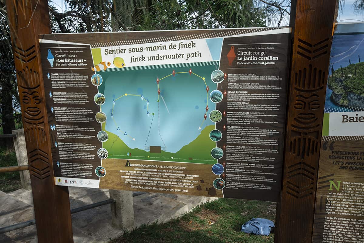 Jinek Bay Snorkeling In Lifou: BEST Snorkeling In New Caledonia? 10 the pathways around jinek bay