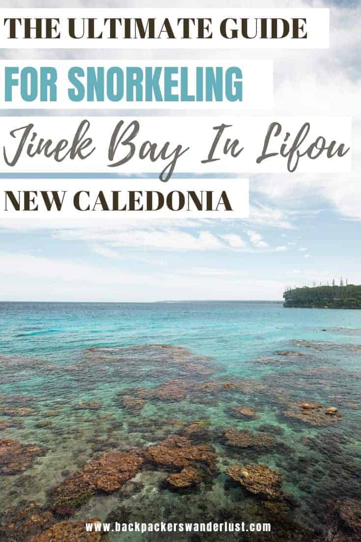 Jinek Bay Snorkeling In Lifou: BEST Snorkeling In New Caledonia? 17 If you are visiting Lifou no doubt you have heard of Jinek Bay for snorkeling, I mean this is THE place to discover life under the water here. Though does it really live up to all the hype? Let's find out that and what else you need to know when it comes to Jinek Bay Marin Reserve.