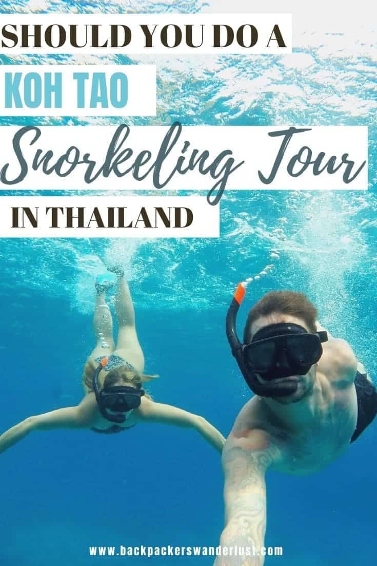 Thinking of taking a Koh Tao snorkeling tour while you are on this paradise island? Find out absolutely everything you need to know such as what company to book, prices, where you will visit, and what to expect!