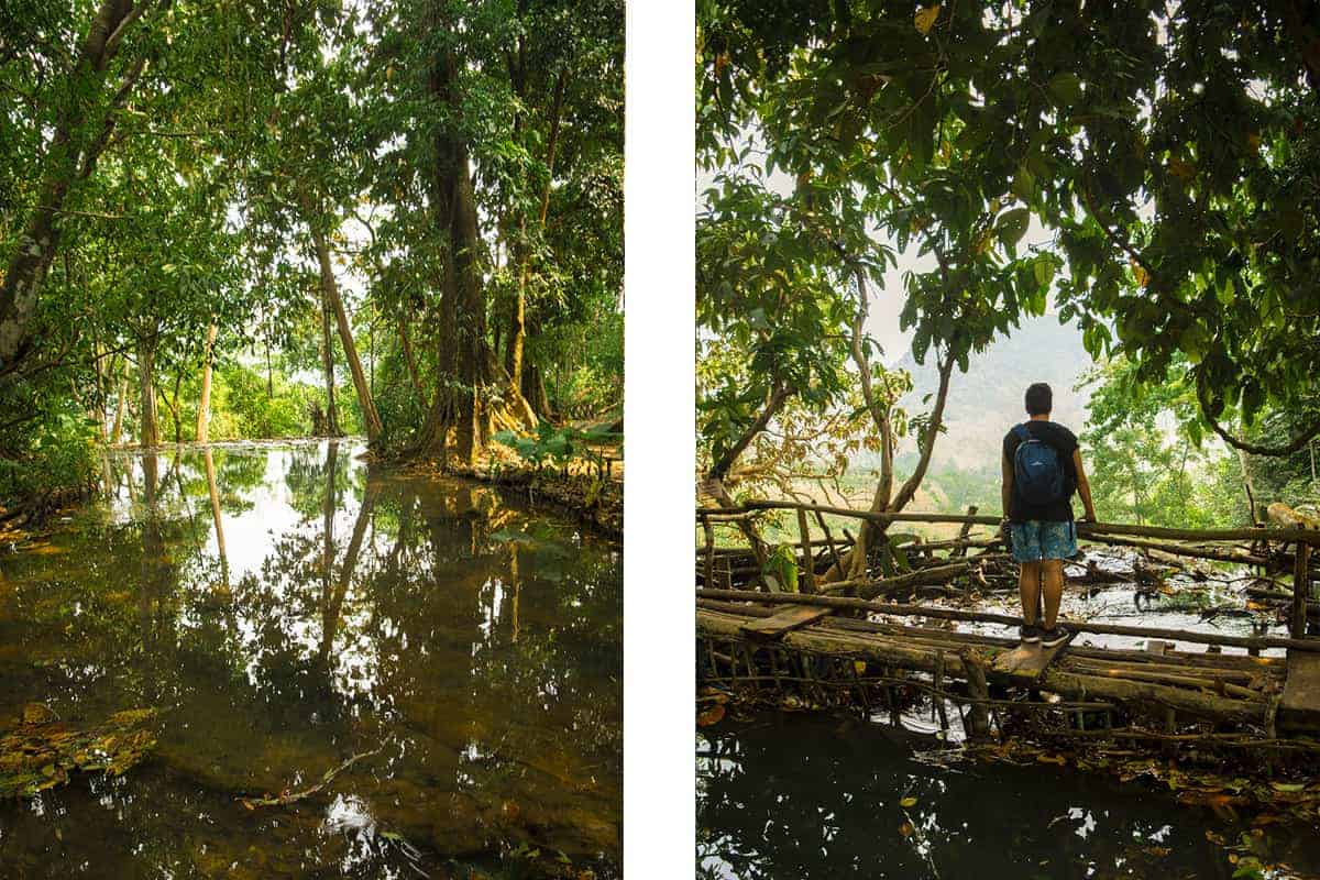 Kuang Si Falls In Luang Prabang: The Ultimate Guide 14 laos jungle from on top of kuang si falls