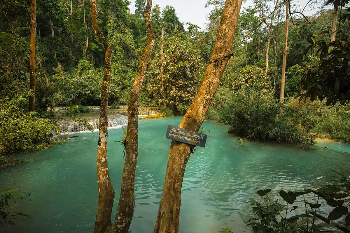 Kuang Si Falls In Luang Prabang: The Ultimate Guide 11 sign saying do not swim at kuang si falls