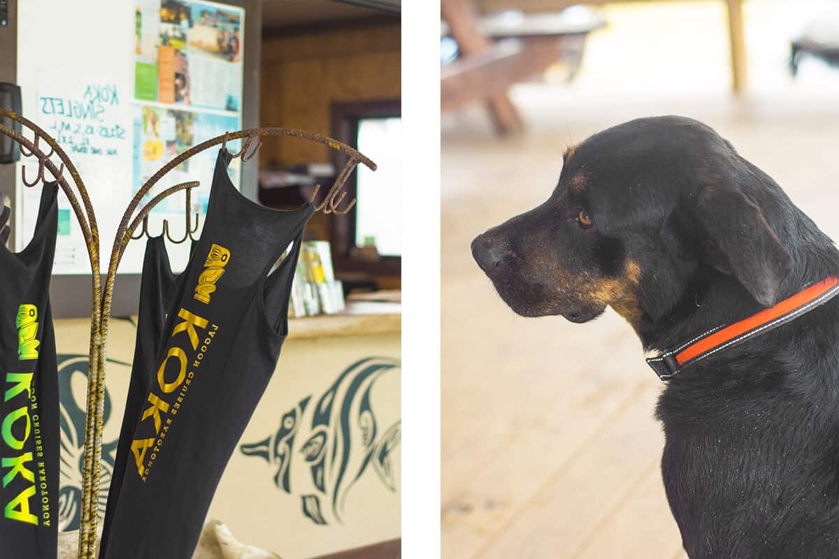 Lagoon Cruise In Rarotonga: Koka Lagoon Cruises Review 7 checking into koka lagoon cruises