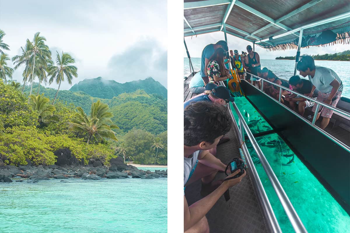 Lagoon Cruise In Rarotonga: Koka Lagoon Cruises Review 8 glass bottom boat in rarotonga