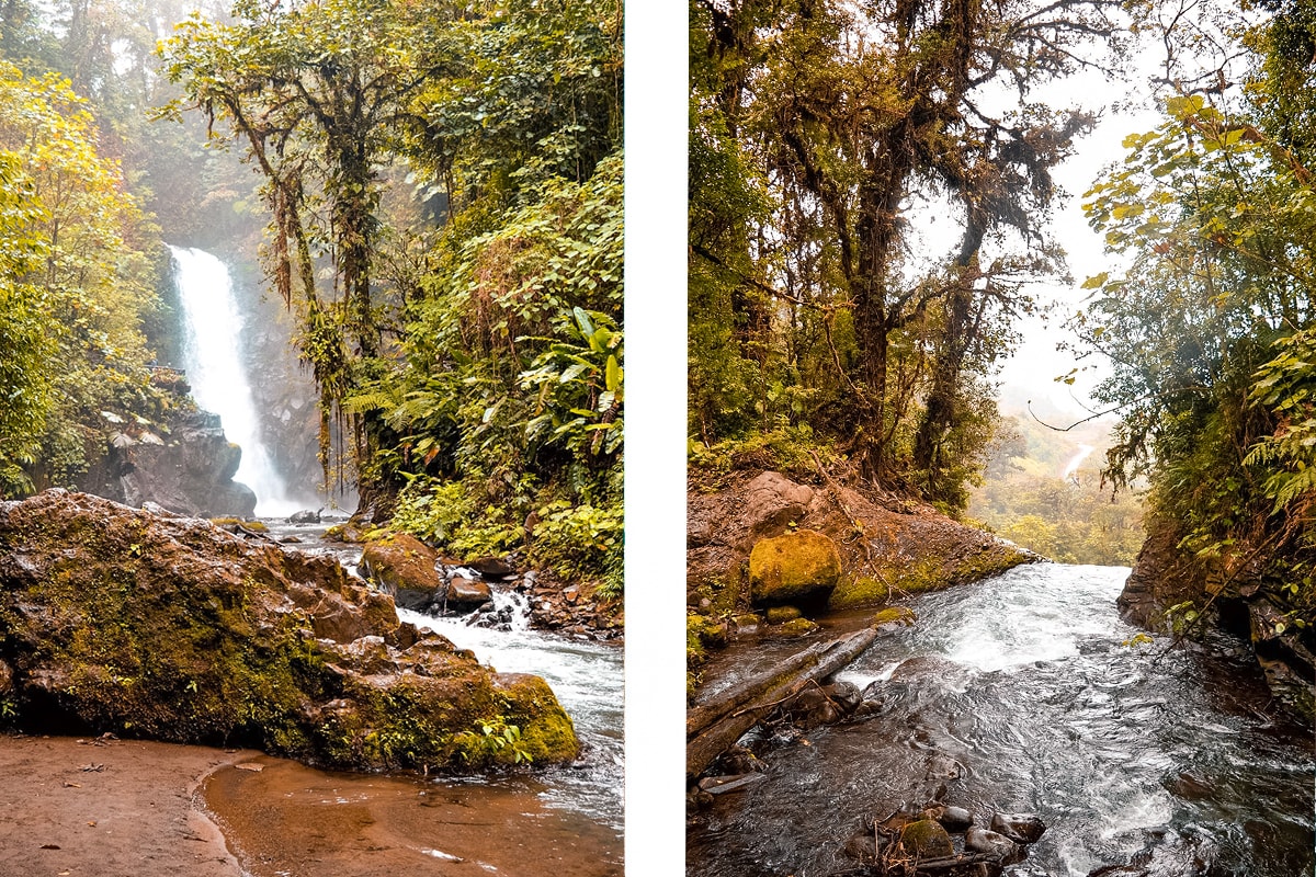 La Paz Waterfall Garden & Monteverde - Costa Rica 11 La Paz Waterfall Garden in Costa Rica | Travel Central America | San Jose | Hike | Zoo | Surf | Beach | Backpacking Costa Rica | Animals | What to do | Where to sleep | Swimming | Tubing | Backpackers Wanderlust |