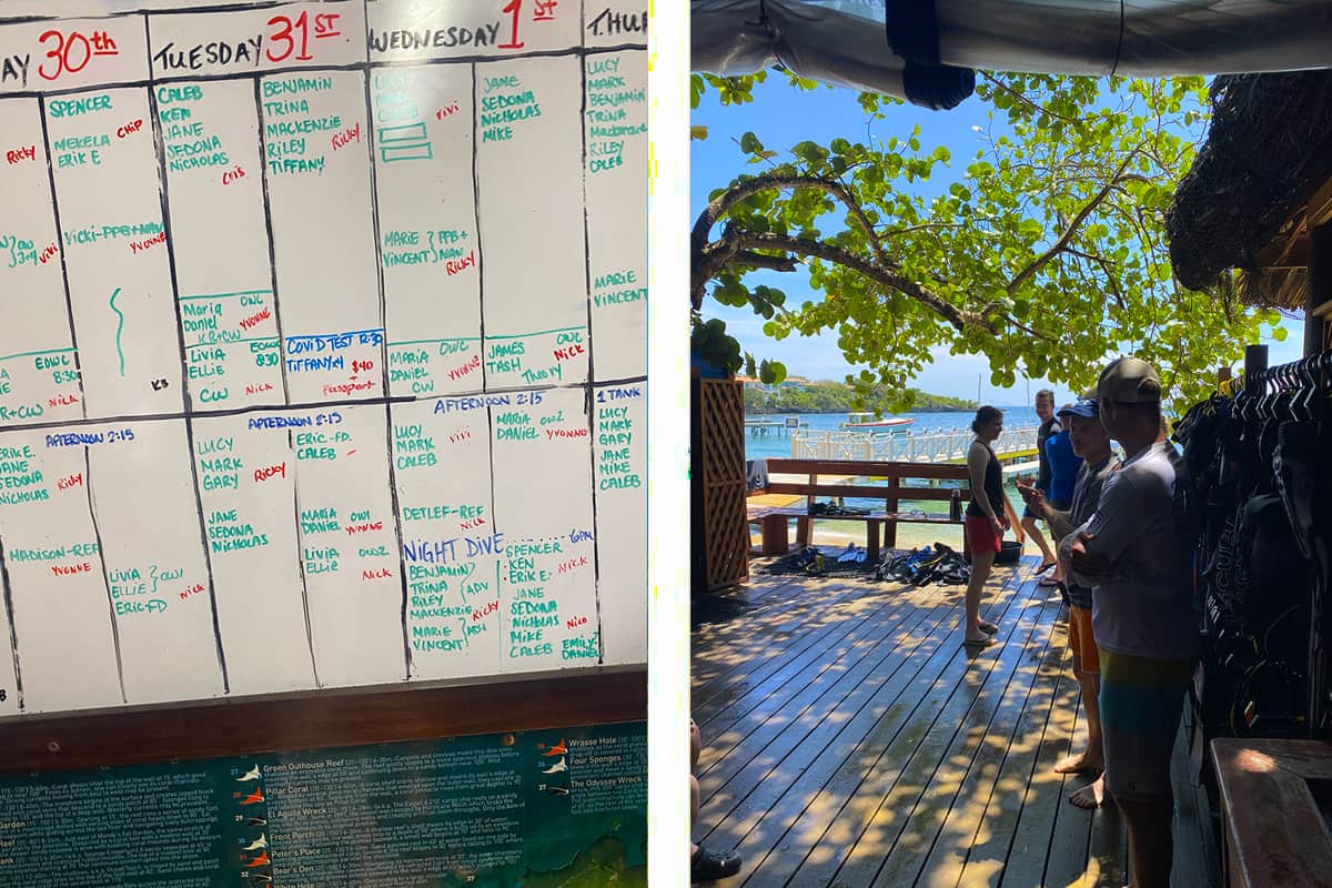 Learn To Dive In Roatan: Scuba Diving Roatan Companies, Prices & What To Expect 14 our dive schedule for the week // hanging out with some of the other divers at sun divers in roatan