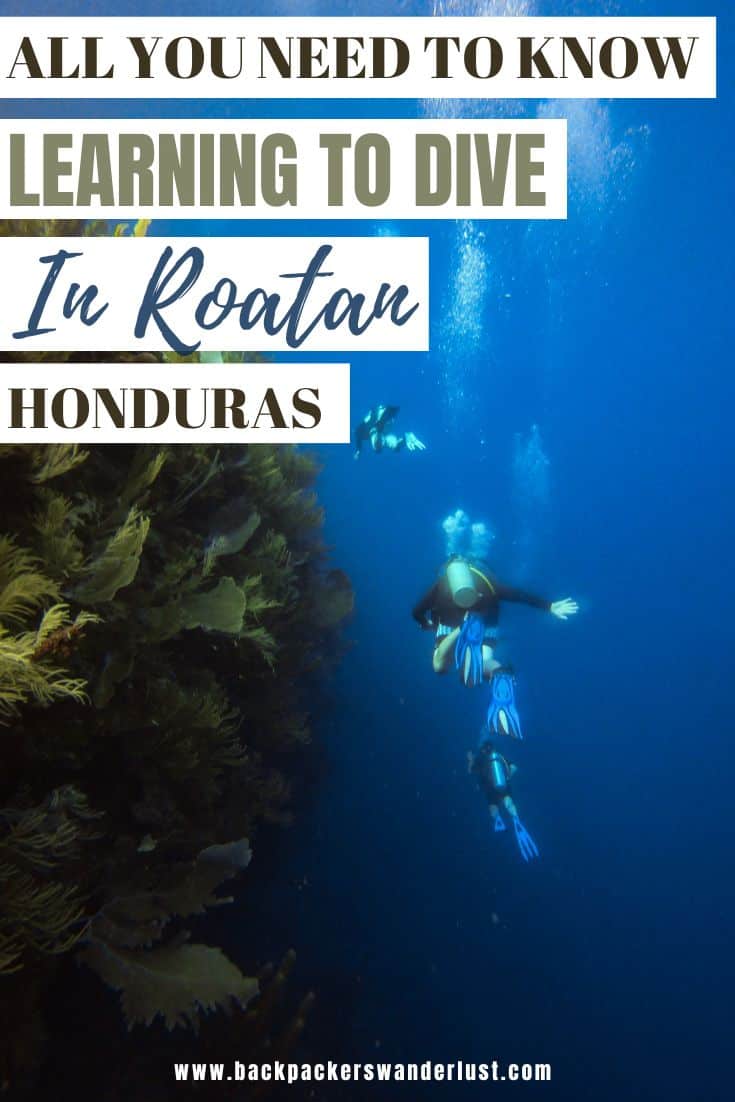 Learn To Dive In Roatan: Scuba Diving Roatan Companies, Prices & What To Expect 32 Thinking you may want to learn to dive in Roatan during your visit! Well, I was in the exact same position as you so I walked the streets talking to the different Scuba Diving Roatan companies, did a discover dive, got my PADI Open Water, and now I am here to tell you all you need to know. From prices, what to expect, Roatan or Utila, and more!