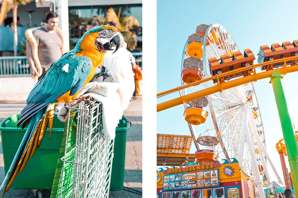 Stopover in Los Angeles - 24 & 48 hour Itinerary 7 Stopover in Los Angeles, The United States | 48 and 24 Hour Itinerary | What to do in Los Angeles | Layover | Los Angeles | Stopover | One day in | Two days in | When to visit | Where to sleep | Where to eat | How to get around | What to do | Backpacking | Budget Travel | Solo Female Travel | Backpackers Wanderlust |