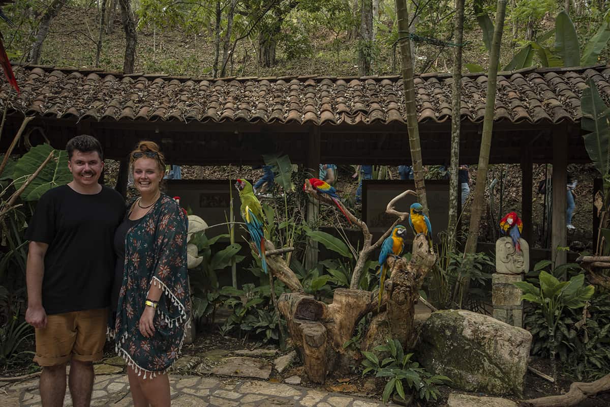 Visiting Macaw Mountain In Copan Ruinas: Is It An Ethical Experience? 25 a cheeky photo surrounded by macaws, this is usually where you can touch and pet the birds, though this wasnt something we were interested in