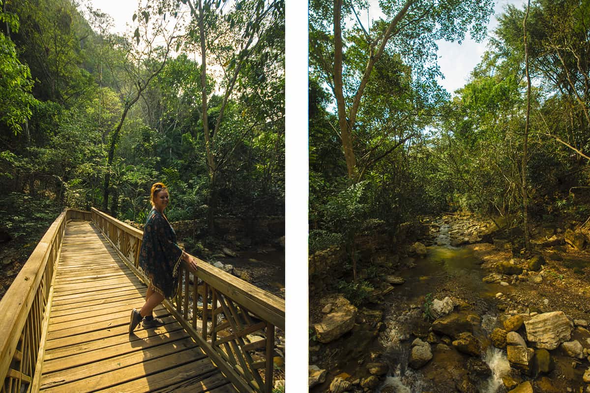 Visiting Macaw Mountain In Copan Ruinas: Is It An Ethical Experience? 24 exploring the river and jungle of macaw mountain