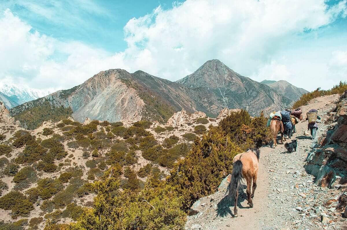 porters on trail manang to yak kharka on the annapurna circuit