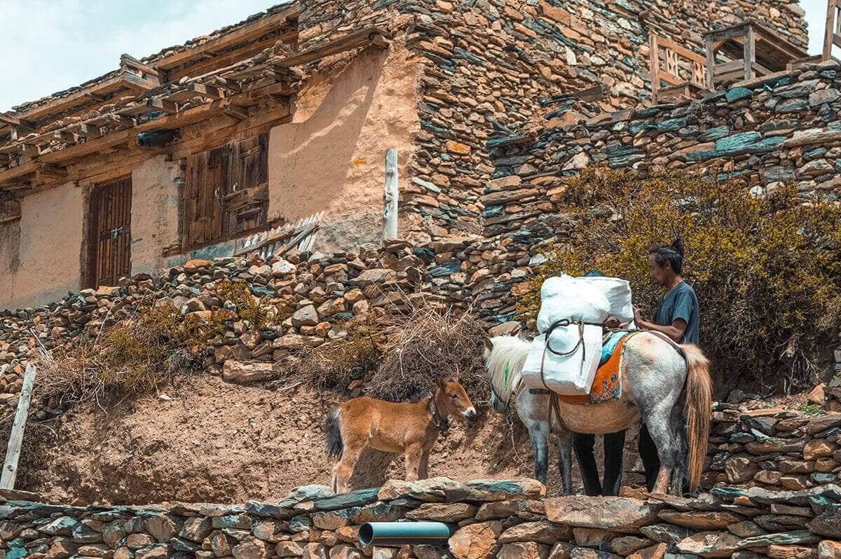gunsang manang to yak kharka on the annapurna circuit