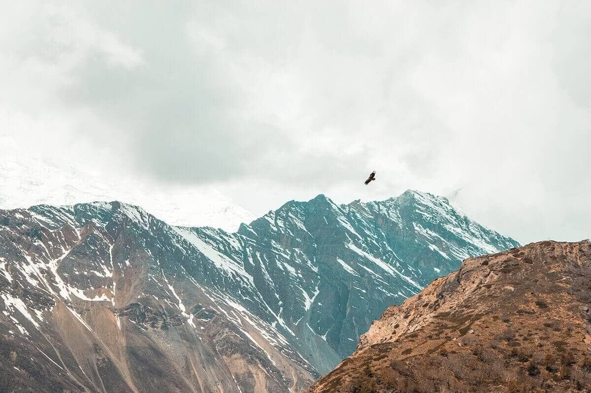 eagle manang to yak kharka on the annapurna circuit