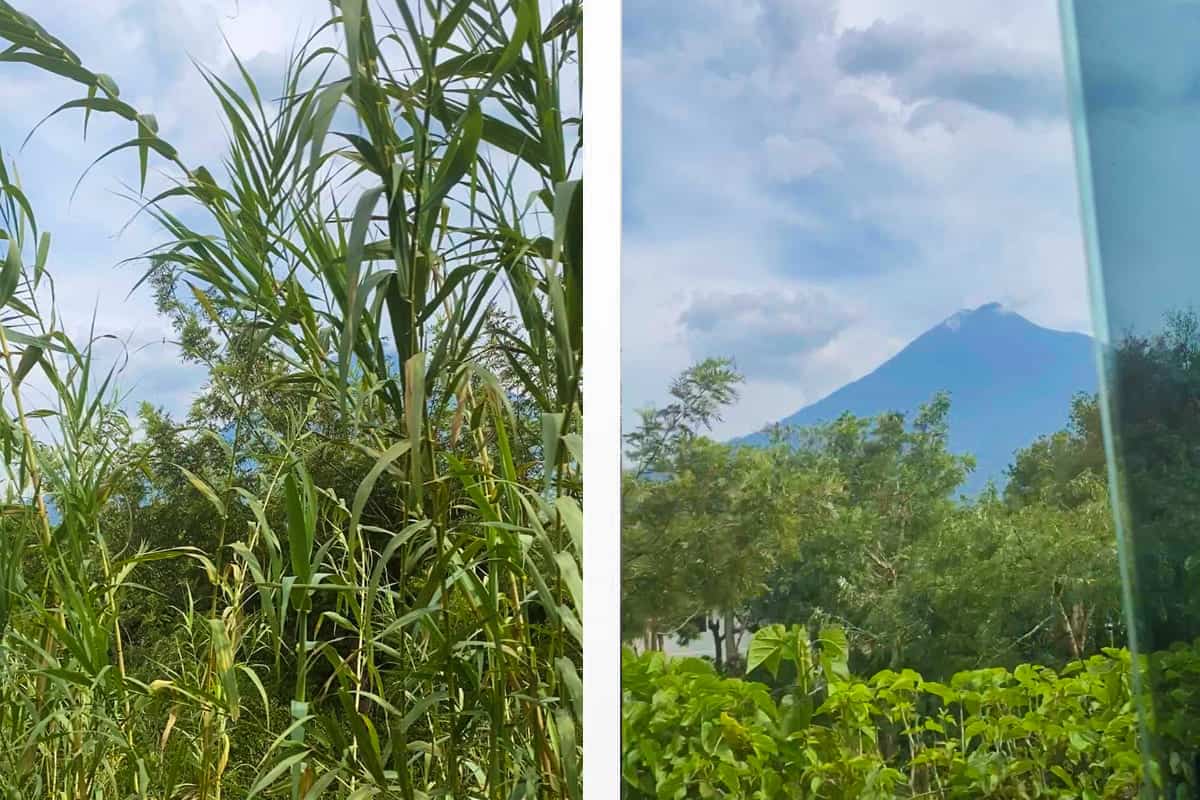 Pacaya Volcano Hike: Difficulty, What To Expect & Top Tips 2025 11 views out the mini bus window on our pacaya volcano tour from antigua