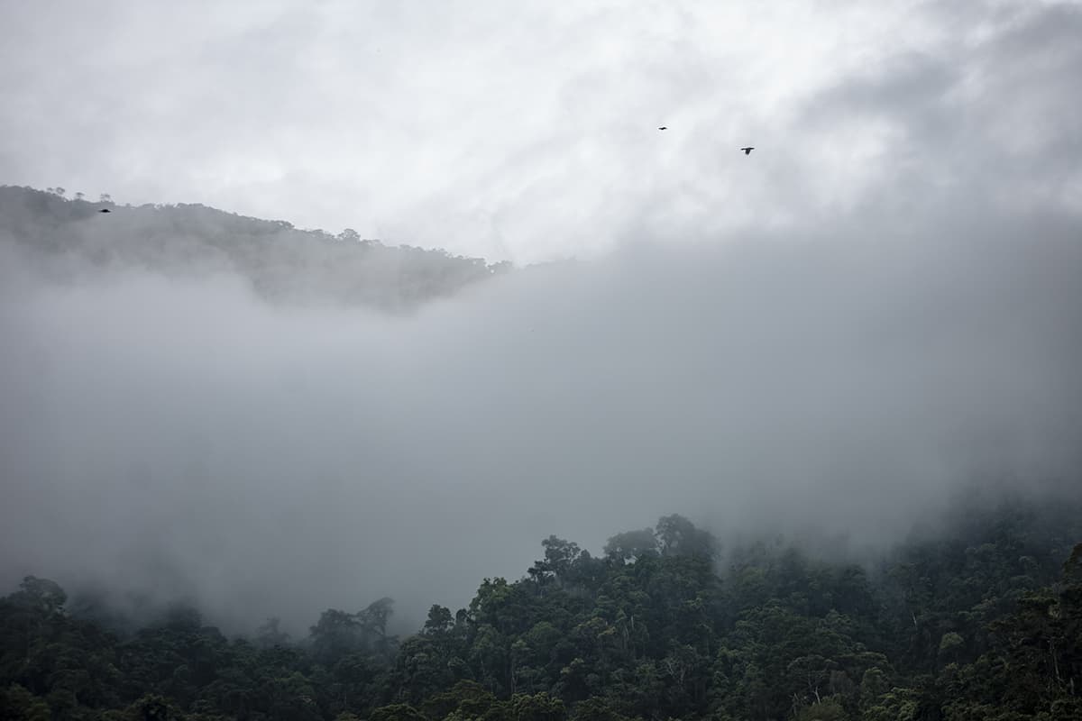 Pico Bonito National Park: How To Visit, What To Do, Is It Worth It & More 22 heavy cloud rolling through pico bonito national park in the wet season