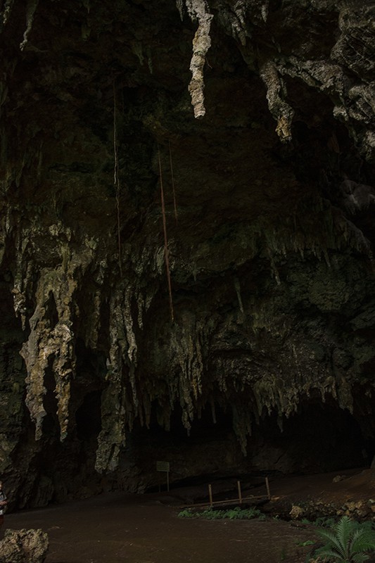 A man is standing in front of Queen Hortense's Cave on the Isle of Pines, surrounded by stalactites and stalagmites.
	