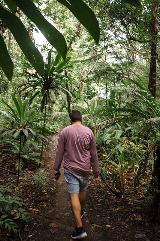 A man walking down a trail in the jungle, exploring the breathtaking Isle Of Pines and making his way towards Queen Hortense’s Cave.
	