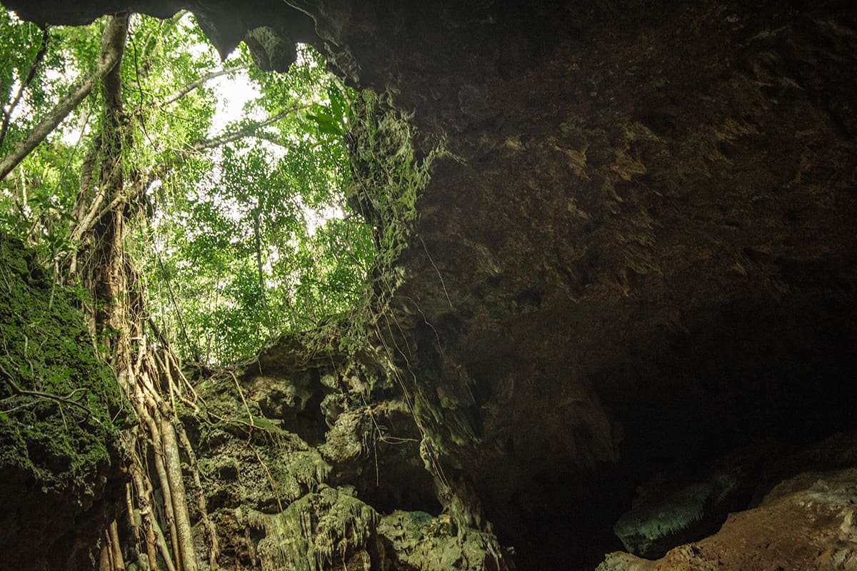 Queen Hortense’s Cave on the Isle of Pines, with trees growing out of it.
	