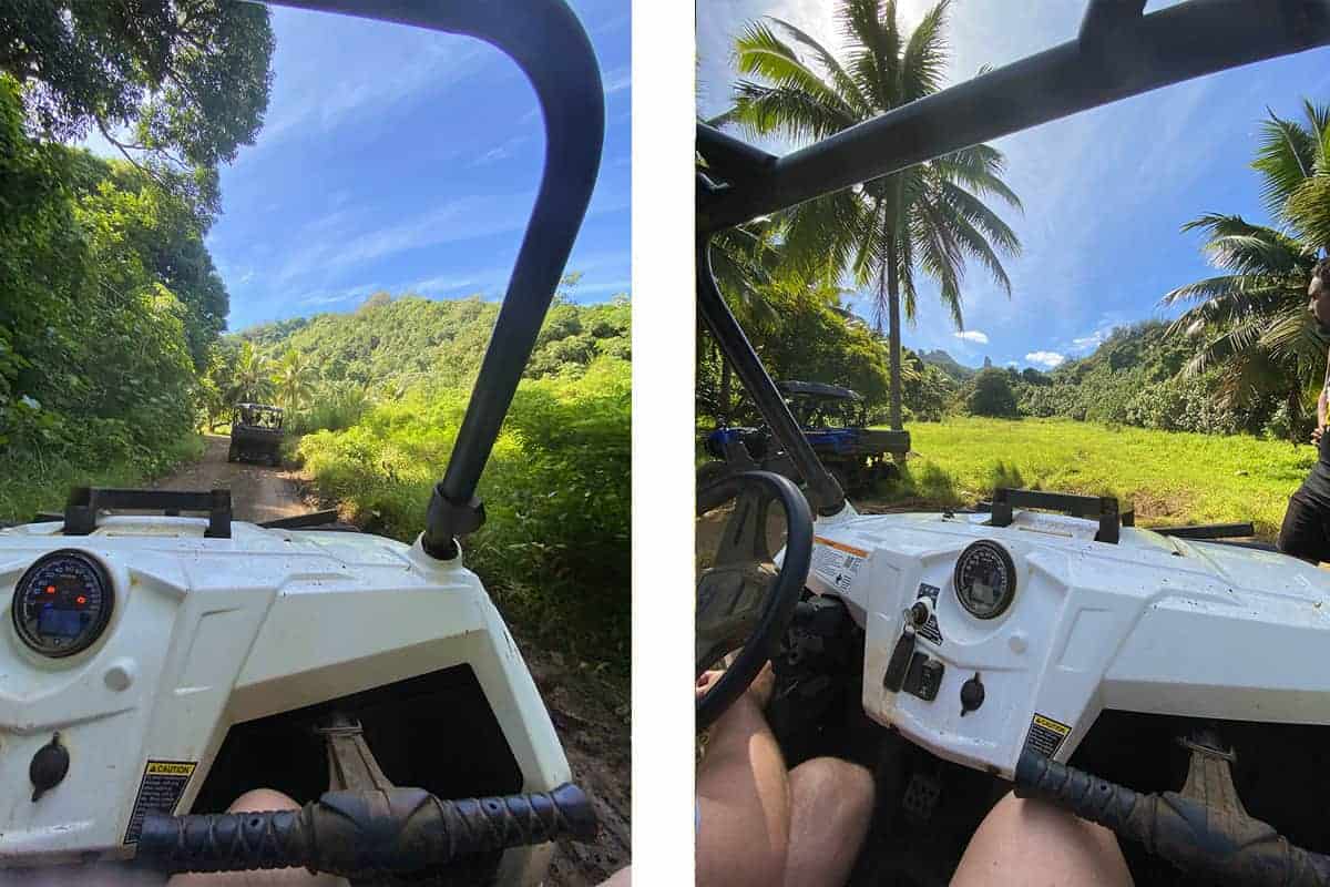 Raro Buggy Tours In Rarotonga: Is It Worth Doing? 5 view of the needle with raro buggy tours in inland rarotonga