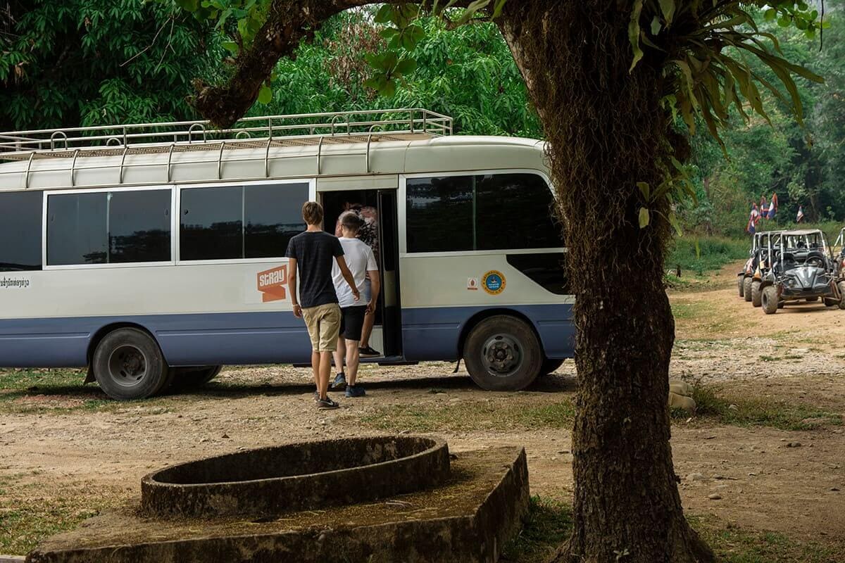 Read THIS Stray Asia Review Before Booking 5 mini bus for stray asia review