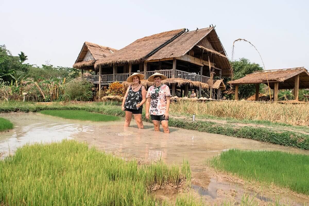 Read THIS Stray Asia Review Before Booking 17 luang prabang rice farming experience