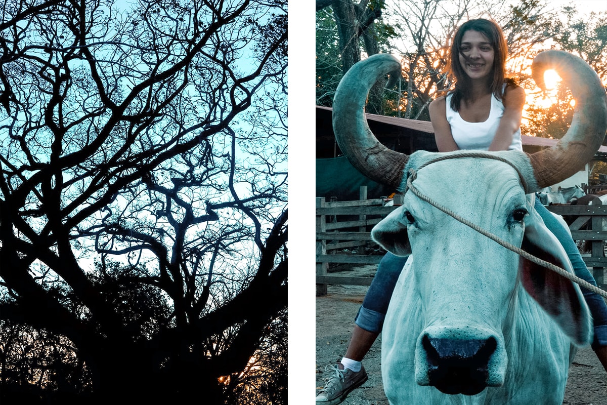 Exploring Ricon De La Vieja, Costa Rica 14 Exploring Ricon De La Vieja In Costa Rica | Travel Central America | Guanacaste | Hike | Hiking | Volcano | Rainforest | Backpacking Costa Rica | Mud bath | What to do | Where to sleep | Horse riding | Tubing | Backpackers Wanderlust |