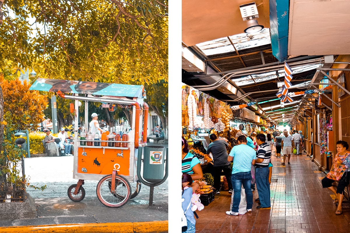 Relaxing Day At Intercultura - Heredia, Costa Rica 4 Studing in Heredia, Costa Rica | Travel Central America | Learn Spanish | Hike | Hiking | Intercultura | Rainforest | Backpacking Costa Rica | San Jose | What to do | Where to sleep | Heredia | studying abroad | Backpackers Wanderlust |