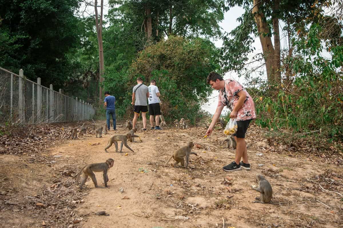 Scams In Laos: 7 Scams Travelers NEED To Know (2025) 4 feeding monkey off the side of the road in laos