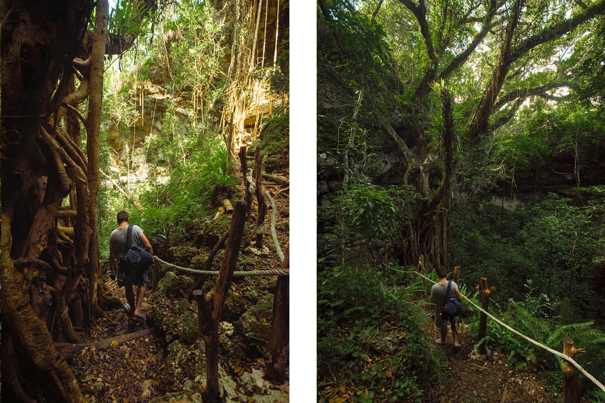 The Secret Grotto In Lifou: All You NEED To Know 2025 4 deep in the jungle while hiking to the secret grotto in lifou