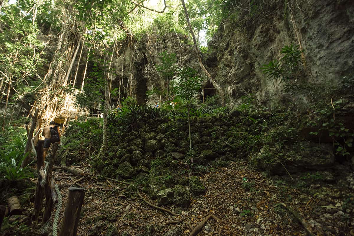 The Secret Grotto In Lifou: All You NEED To Know 2025 15 looking up the pathway back towards the entry at the secret grotto in lifou