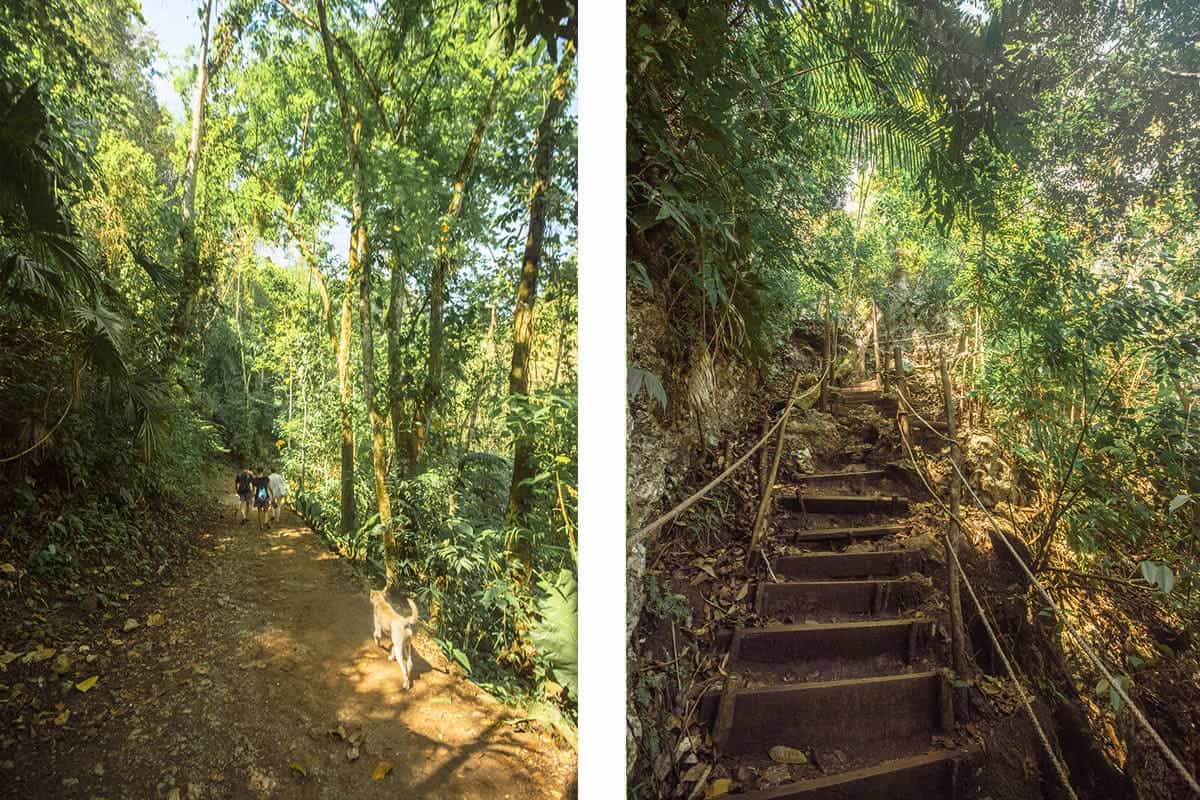 Visiting Semuc Champey Mirador & Pools: All You Need To Know 2025 35 arriving at semuc champey // hiking up the crazy steep staircase up to the semuc champey mirador