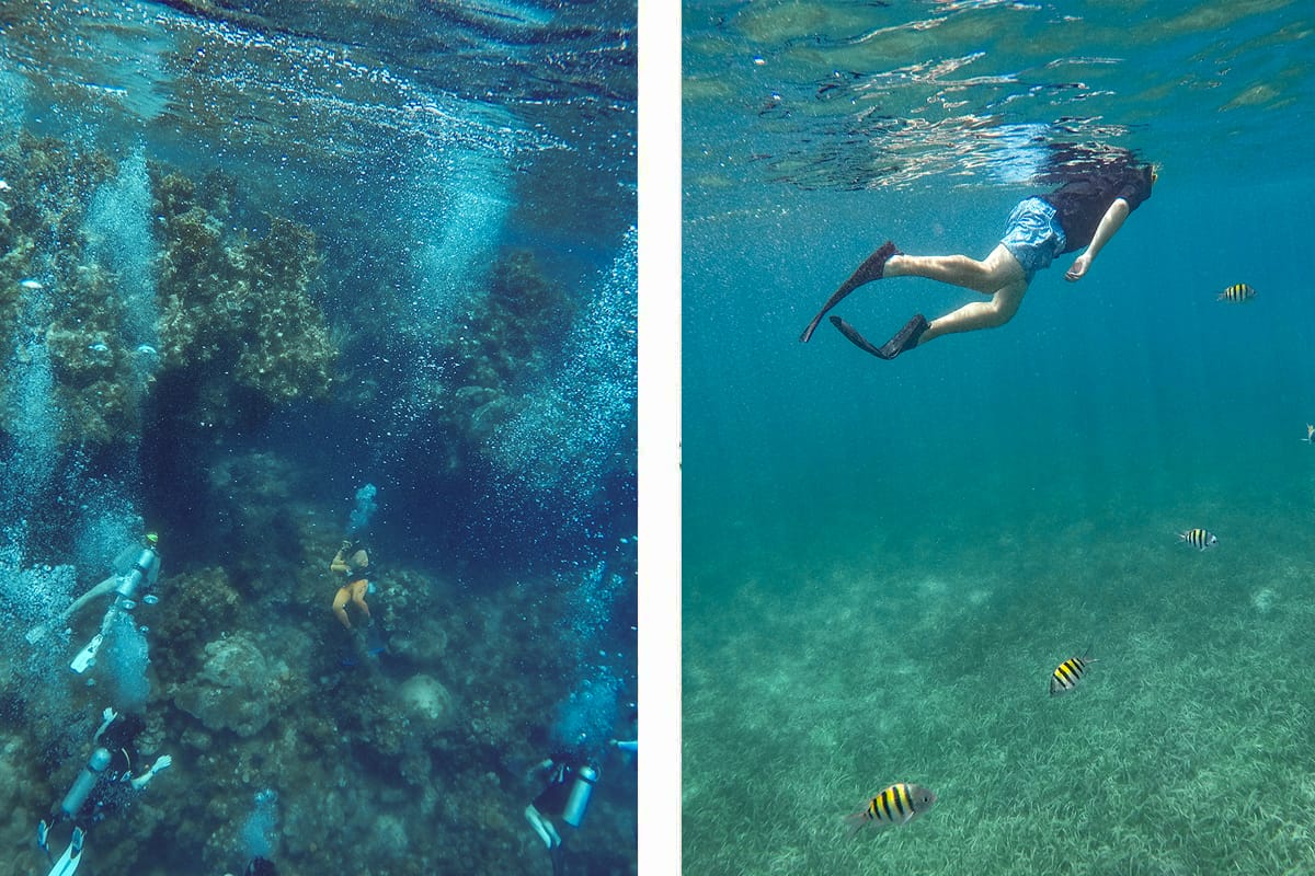 Snorkel The Blue Channel In Roatan: The Best Spot For Snorkeling 22 scuba divers in the blue channel in roatan // snorkeling back to the boat