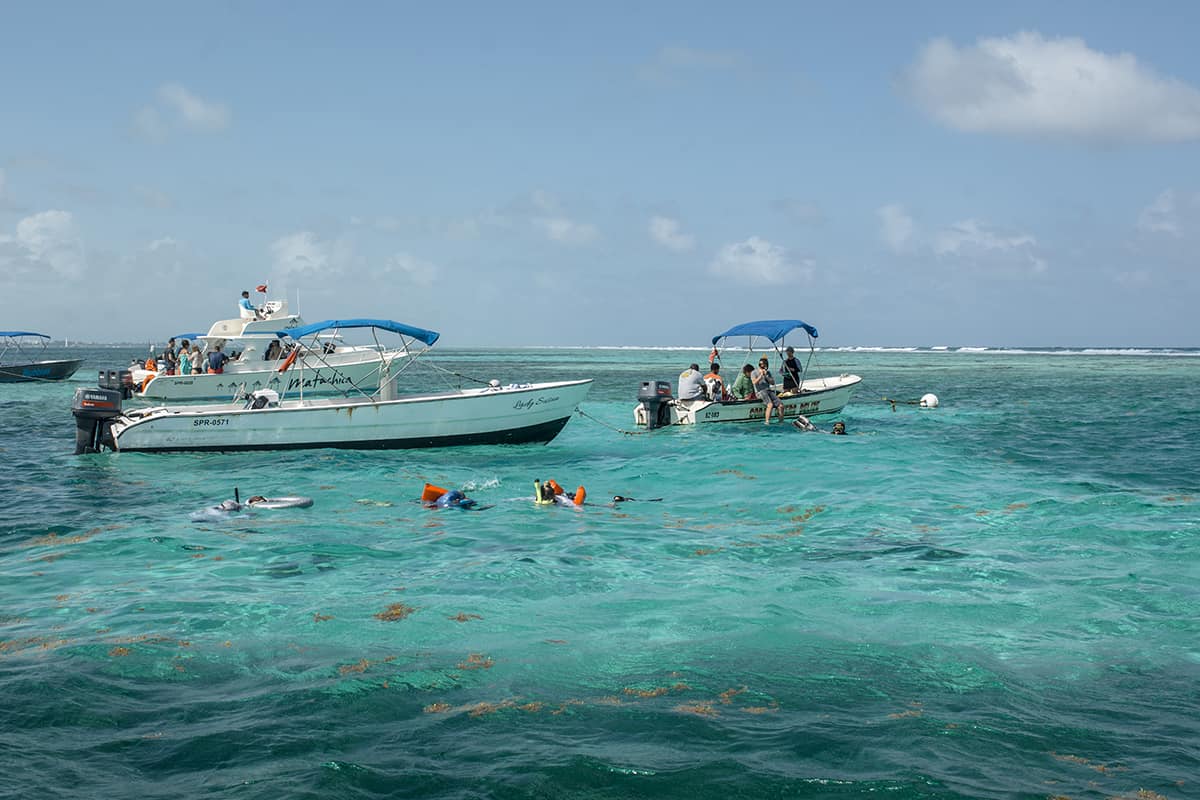 Snorkeling Tours From San Pedro, Belize: BEST SNORKELING IN CENTRAL AMERICA 15 jumping into the sandy areas before venturing out into the reef at hol chan marine park