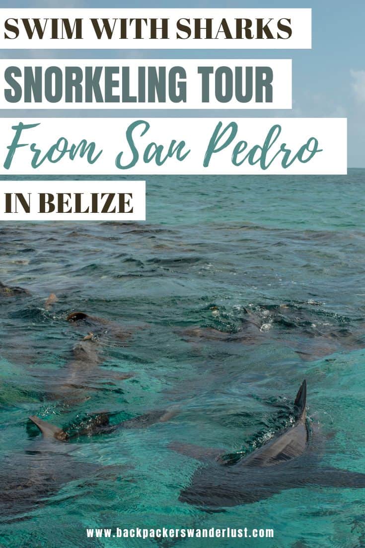 Snorkeling Tours From San Pedro, Belize: BEST SNORKELING IN CENTRAL AMERICA 28 One of my favorite snorkeling spots can be found right in Belize, so of course checking out snorkeling tours from San Pedro is a must! Though what ones are the best, where do you go, how expensive is it? Well don't worry, I will answer all of that and more!