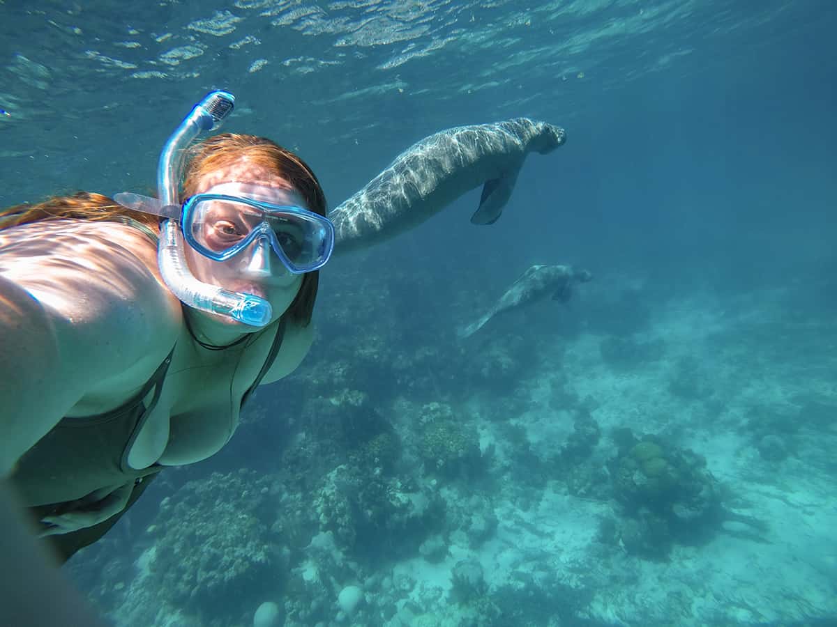 Swim With Manatees In Belize: A BUCKETLIST Experience Must Do 14 trying a selfie swimming alongside two manatees