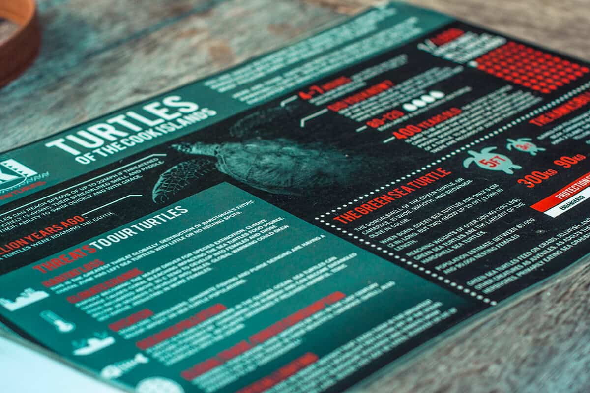 Swim With Sea Turtles In Rarotonga: Ariki Adventures 9 arriving at ariki adventures on our turtle sea scooter safari