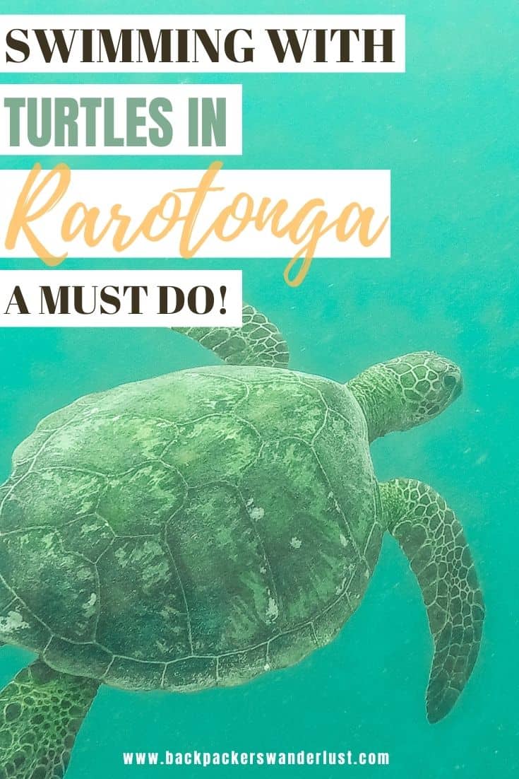 Swim With Sea Turtles In Rarotonga: Ariki Adventures 21 Find out all you need to know about swimming with turtles in Rarotonga on the Ariki Adventures turtle safari tour. I will be giving you all the information you need to know such as how to book, costs and what to expect.