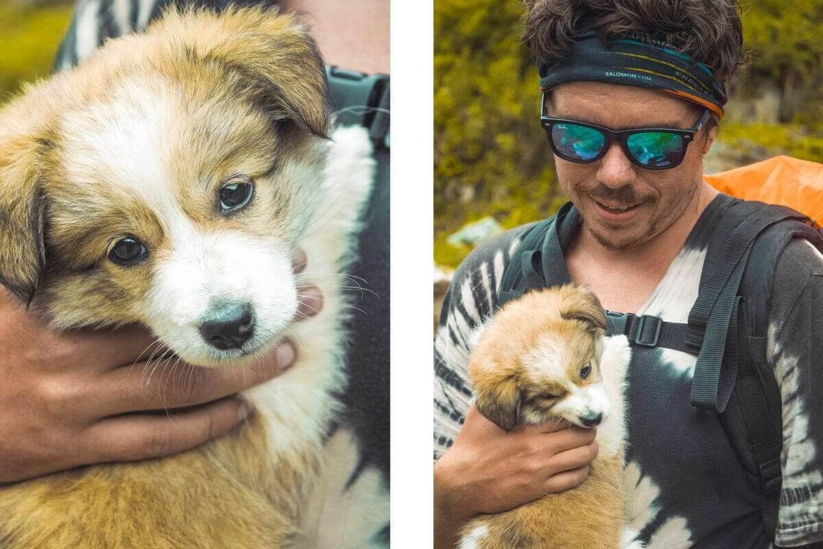 Day 3: Tal To Timang On The Annapurna Circuit 13 dog cuddles tal to dharapani on the annapurna circuit