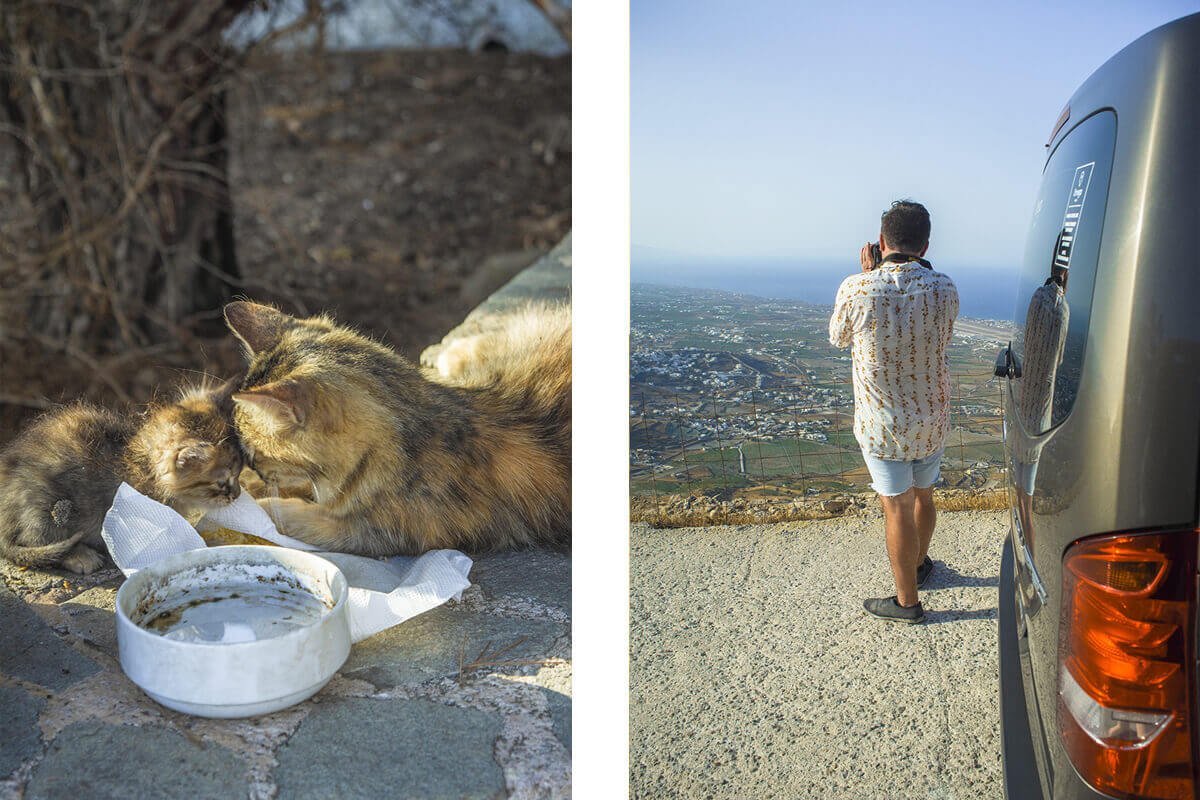 Sightseeing Santorini- Exploring In A Private Taxi With Santorini Best Tours 12 monastery cats santorini sightseeing