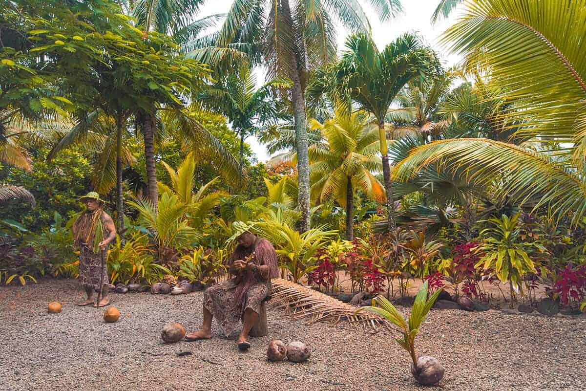 Te Vara Nui Cultural Show In Rarotonga: Is It Worth It 10 musical performance at te vara nui before our oevrwater cultural show starts