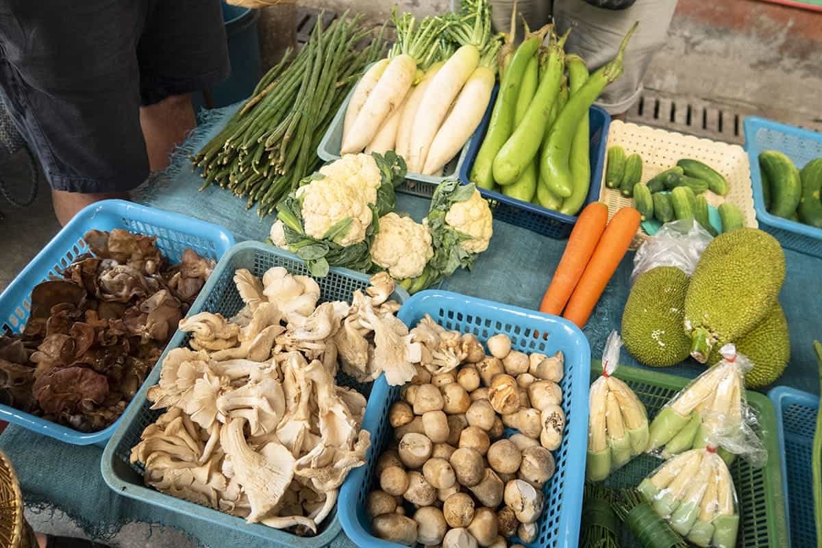 6 Best Vegetarian Cooking Classes In Chiang Mai Worth Booking 2025 6 shopping in the markets with different mushrooms and vegetables in chiang mai