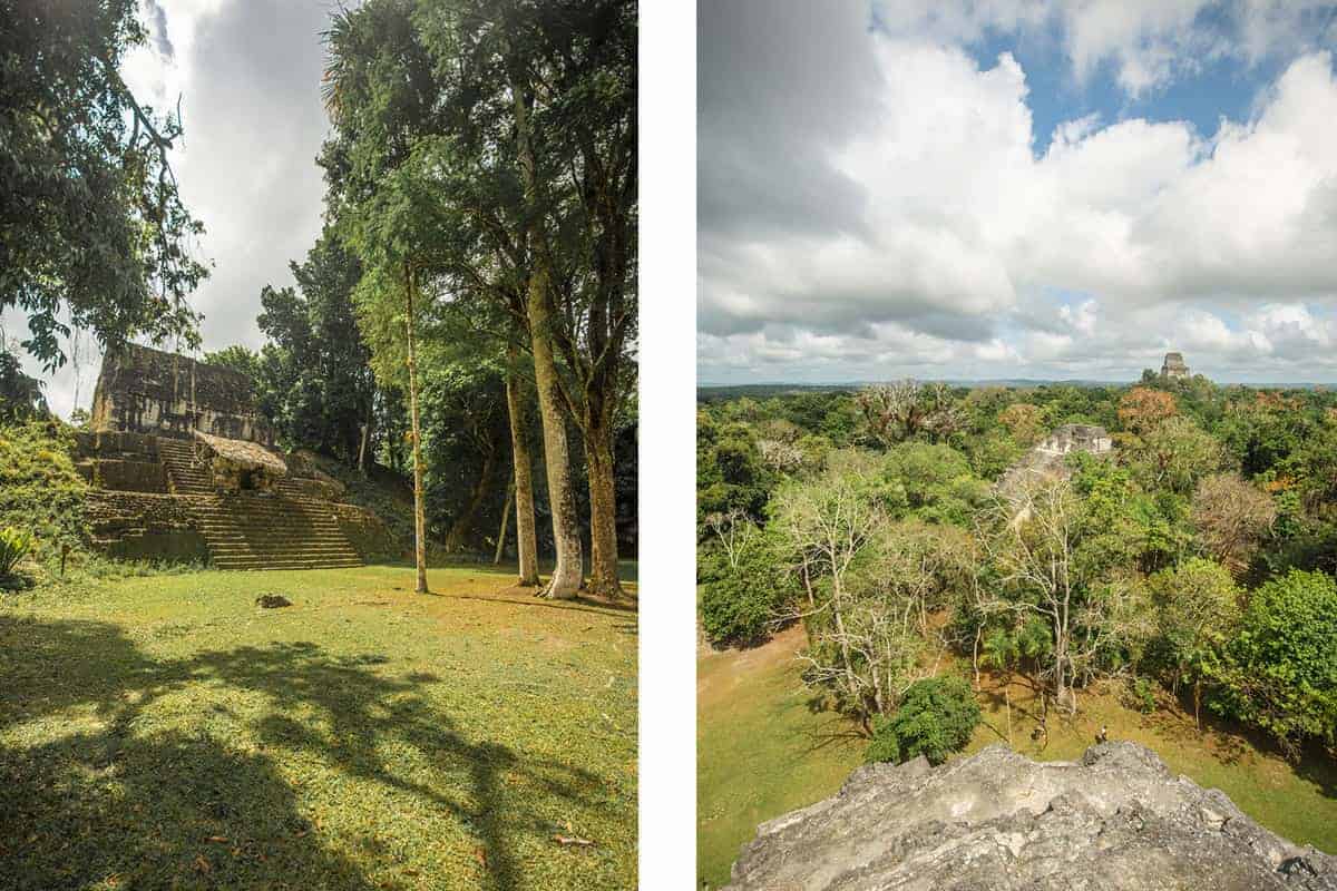 Tikal Tour From Flores: Is It Worth Booking? 45 climbing the great temple in the lost world